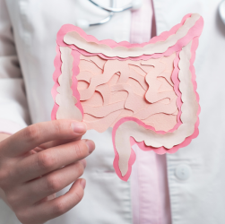 Complément alimentaire et microbiote : lequel choisir pour son intestin ?