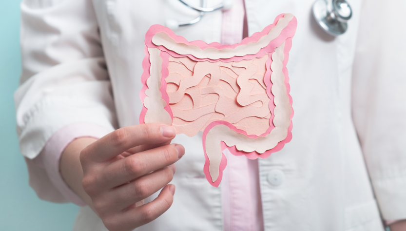 Complément alimentaire et microbiote : lequel choisir pour son intestin ?